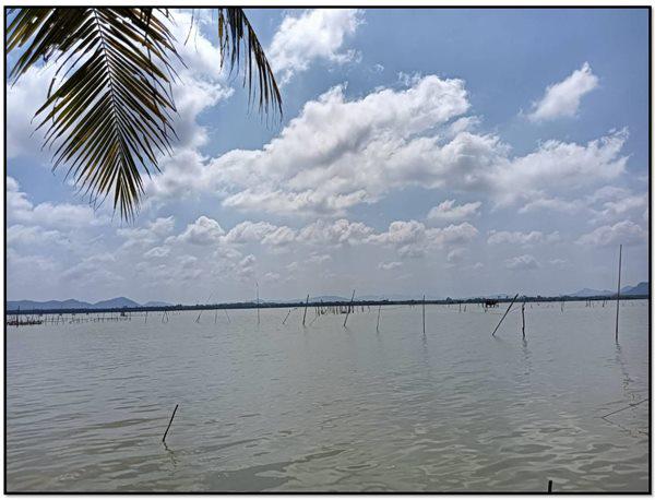 ที่ดิน 25000000 สงขลา เมืองสงขลา เกาะยอ