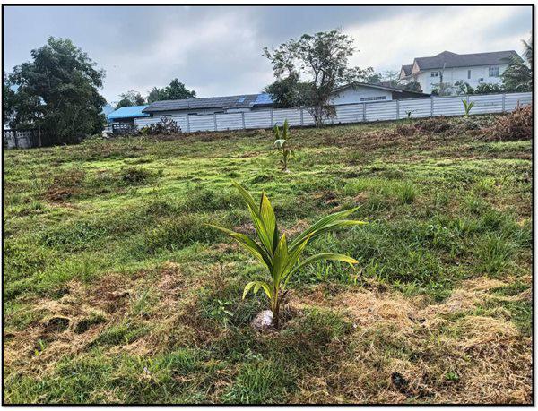 ที่ดิน 25000000 สงขลา เมืองสงขลา เกาะยอ