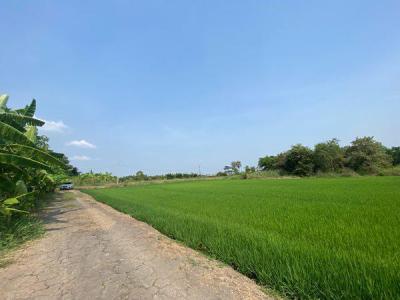 ที่ดิน 5300000 กรุงเทพมหานคร เขตลาดกระบัง ลำปลาทิว