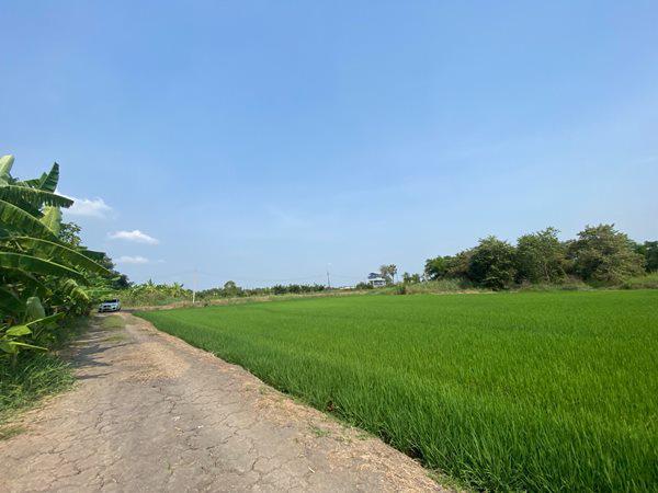 ที่ดิน 5300000 กรุงเทพมหานคร เขตลาดกระบัง ลำปลาทิว