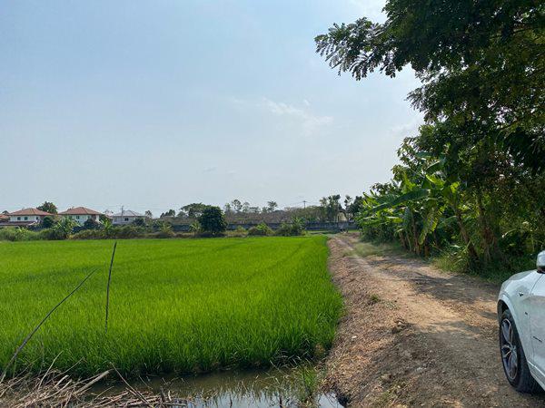 ที่ดิน 5300000 กรุงเทพมหานคร เขตลาดกระบัง ลำปลาทิว