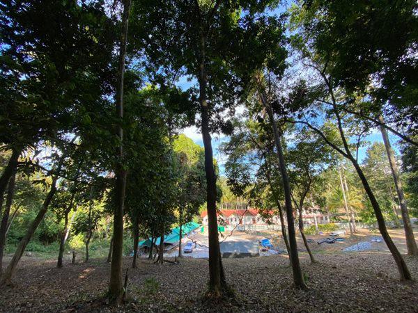 ที่ดิน 12000000 สุราษฎร์ธานี เกาะสมุย ตลิ่งงาม