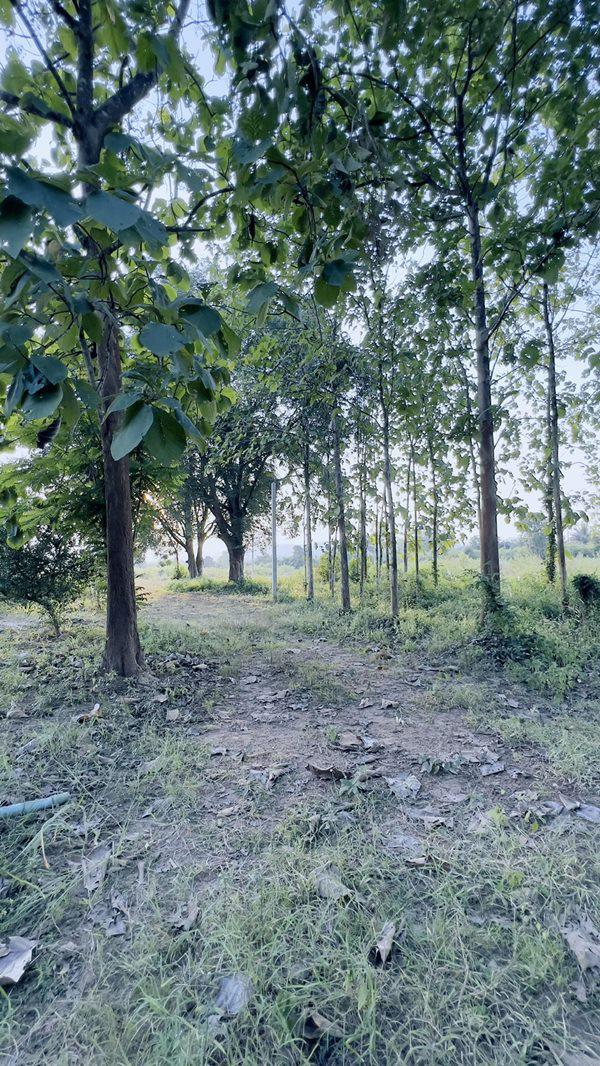 ที่ดิน 7000000 ราชบุรี สวนผึ้ง ป่าหวาย