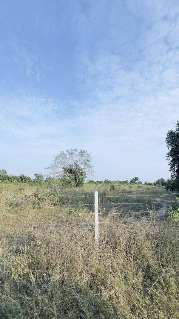 ที่ดิน 7000000 ราชบุรี สวนผึ้ง ป่าหวาย