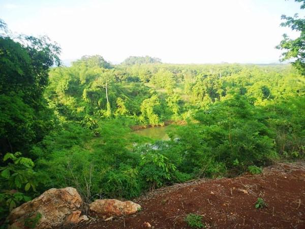 ที่ดิน 1600000 กาญจนบุรี ทองผาภูมิ ท่าขนุน