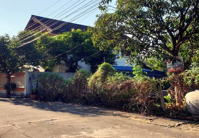 ที่ดิน 7865000 กรุงเทพมหานคร เขตสะพานสูง สะพานสูง