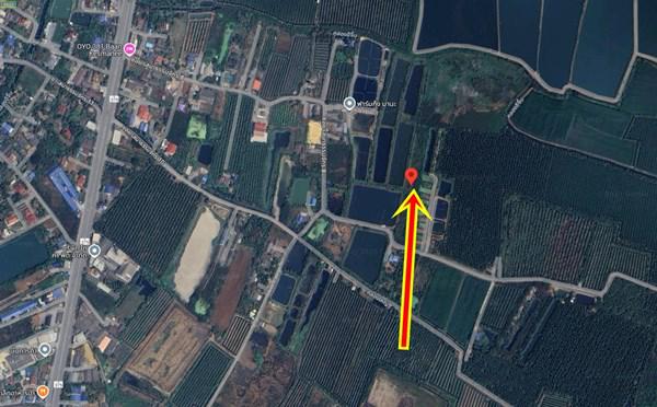 ที่ดิน 10000 นครปฐม เมืองนครปฐม ดอนยายหอม