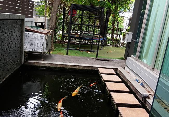 บ้านเดี่ยว 7450000 กรุงเทพมหานคร เขตประเวศ ประเวศ