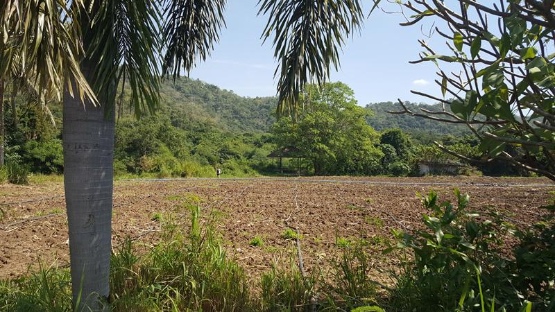 ที่ดิน 4000000 สระบุรี แก่งคอย หินซ้อน