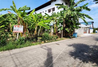 ที่ดิน 5600000 ปทุมธานี เมืองปทุมธานี หลักหก
