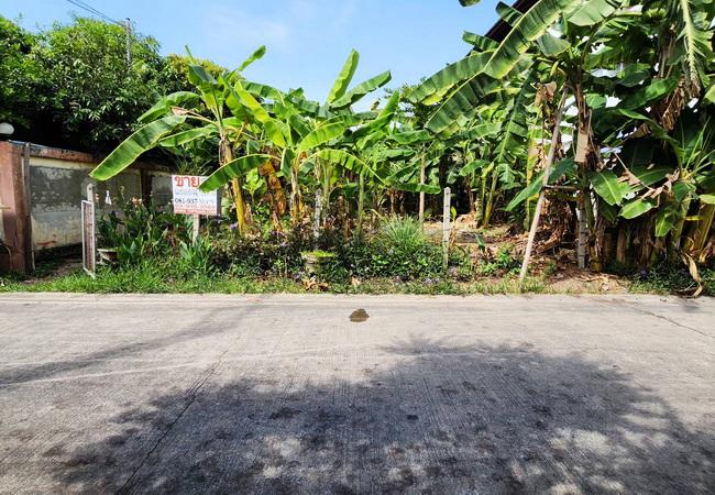 ที่ดิน 5600000 ปทุมธานี เมืองปทุมธานี หลักหก
