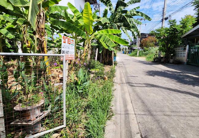 ที่ดิน 5600000 ปทุมธานี เมืองปทุมธานี หลักหก