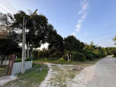 ที่ดิน 2500000 ระยอง เมืองระยอง เพ