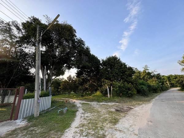 ที่ดิน 2500000 ระยอง เมืองระยอง เพ