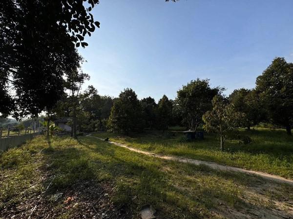 ที่ดิน 2500000 ระยอง เมืองระยอง เพ