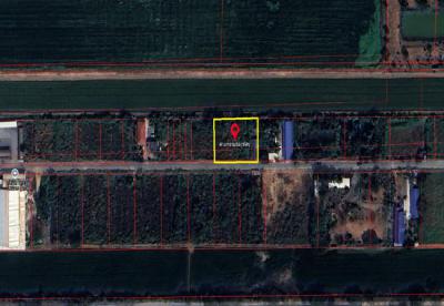 ที่ดิน 2400000 ปทุมธานี หนองเสือ บึงบอน