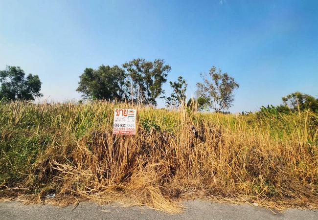 ที่ดิน 2400000 ปทุมธานี หนองเสือ บึงบอน