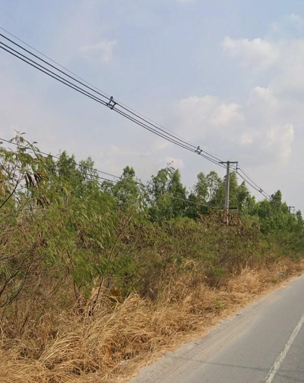ที่ดิน 60000 ชลบุรี บ้านบึง บ้านบึง