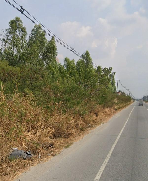 ที่ดิน 60000 ชลบุรี บ้านบึง บ้านบึง