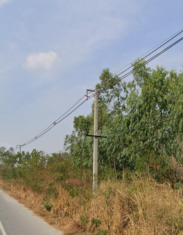 ที่ดิน 60000 ชลบุรี บ้านบึง บ้านบึง