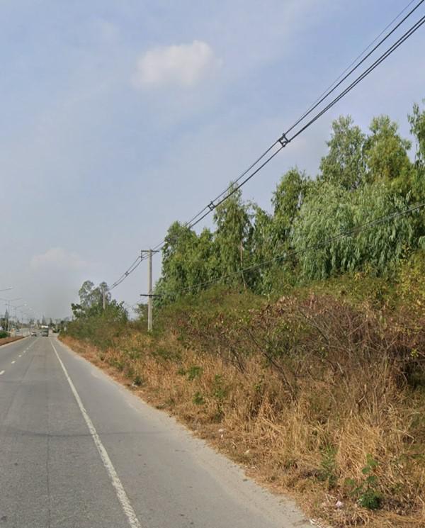 ที่ดิน 60000 ชลบุรี บ้านบึง บ้านบึง