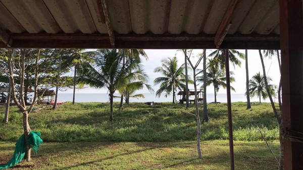 ที่ดิน 7500000 ชุมพร ละแม สวนแตง