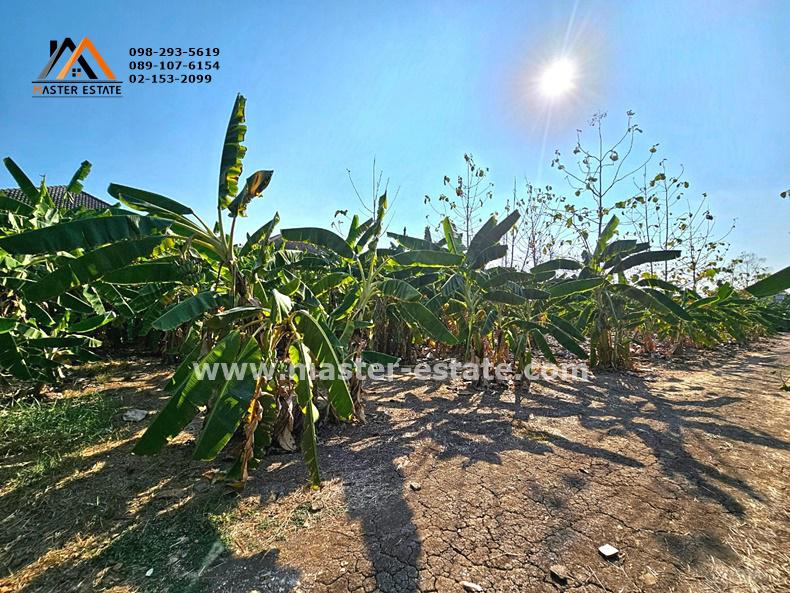 ที่ดิน 66000000 นนทบุรี ปากเกร็ด ท่าอิฐ