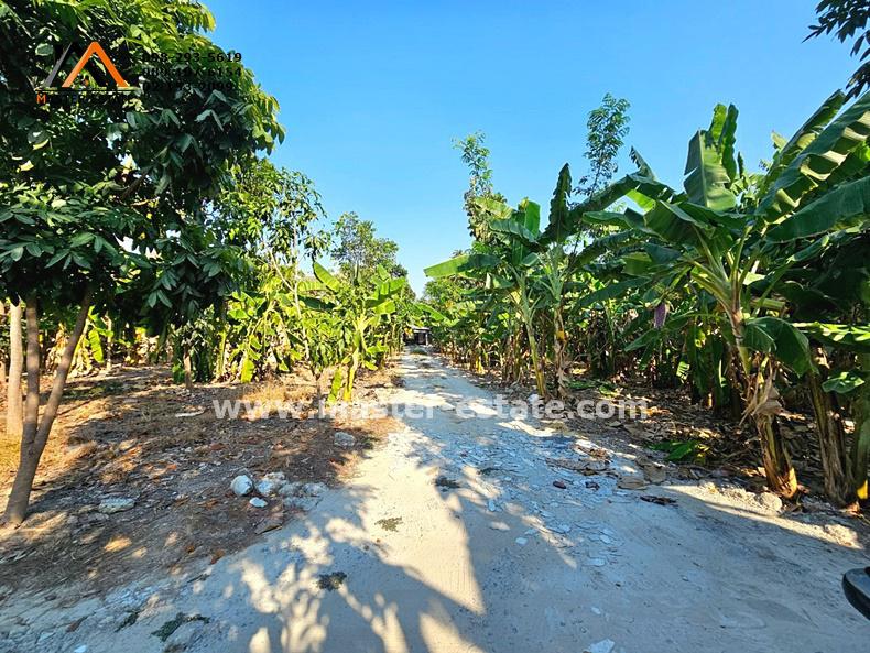 ที่ดิน 66000000 นนทบุรี ปากเกร็ด ท่าอิฐ