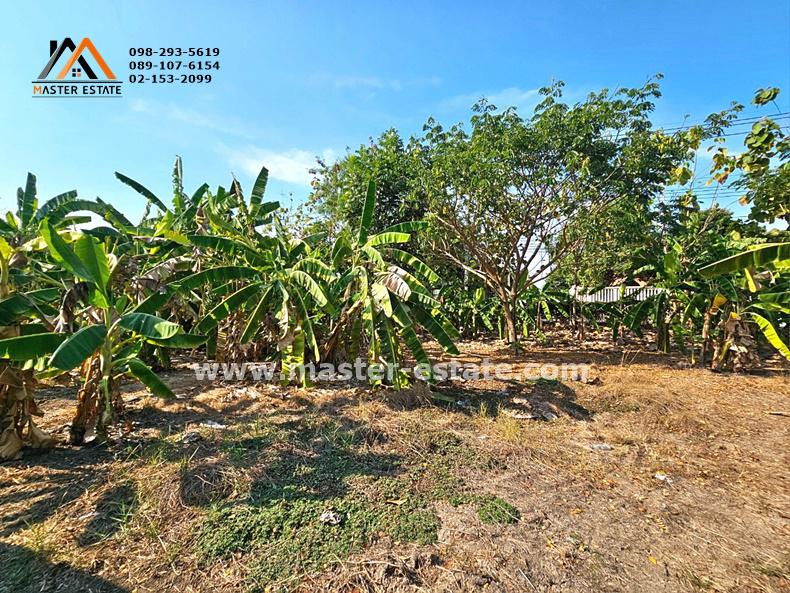 ที่ดิน 66000000 นนทบุรี ปากเกร็ด ท่าอิฐ