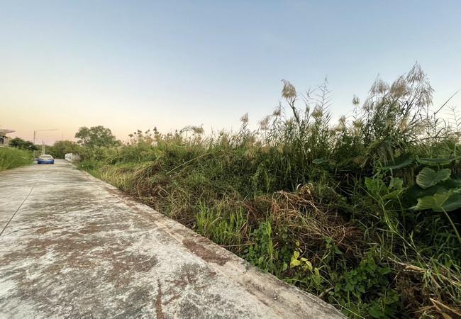 ที่ดิน 1300000 พิษณุโลก เมืองพิษณุโลก อรัญญิก