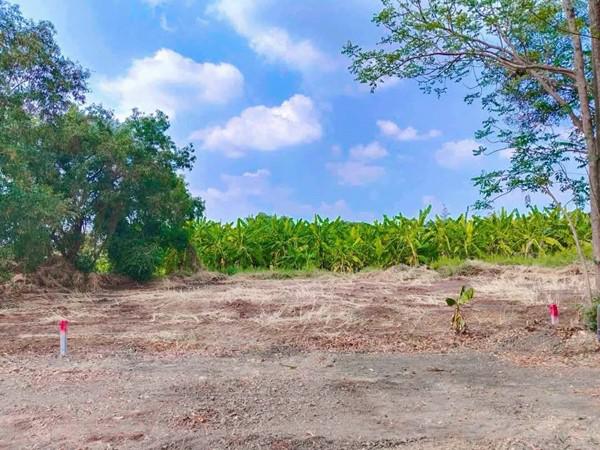 ที่ดิน 390000 ปทุมธานี คลองหลวง คลองหก