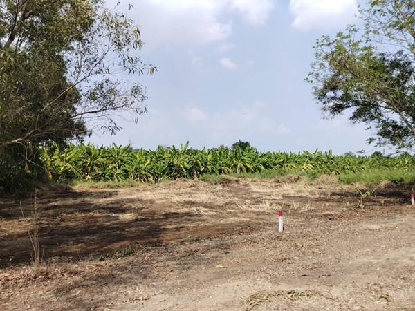 ที่ดิน 390000 ปทุมธานี คลองหลวง คลองหก
