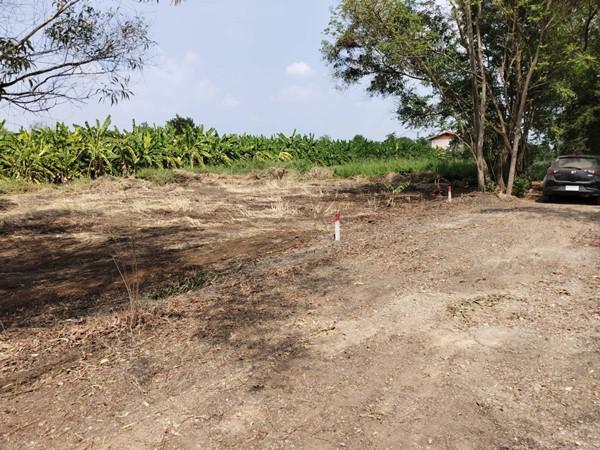 ที่ดิน 390000 ปทุมธานี คลองหลวง คลองหก