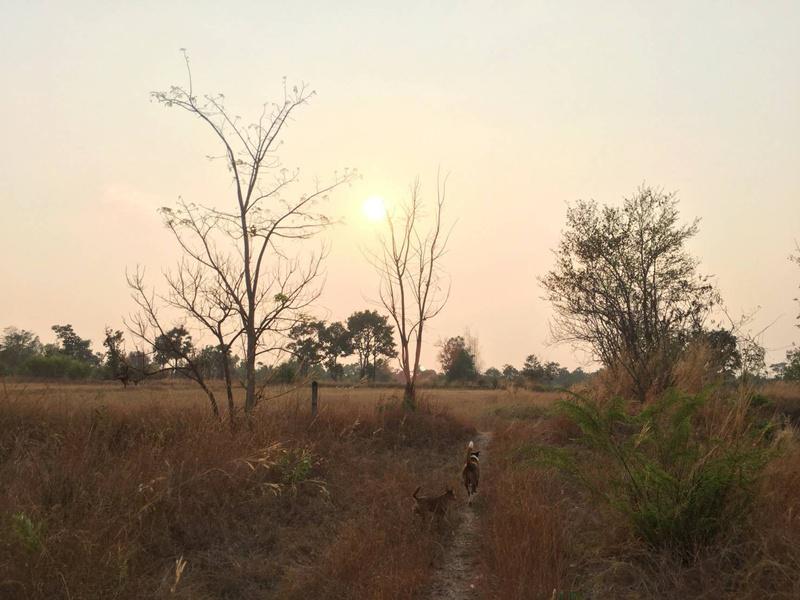 ที่ดิน 3500000 อุบลราชธานี วารินชำราบ เมืองศรีไค