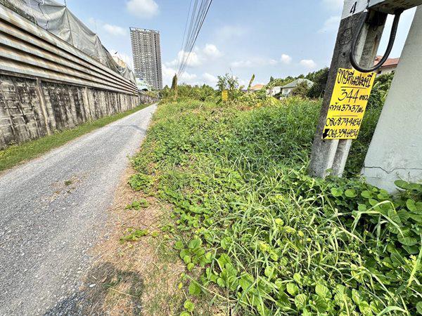 ที่ดิน 75000 นนทบุรี ปากเกร็ด คลองเกลือ