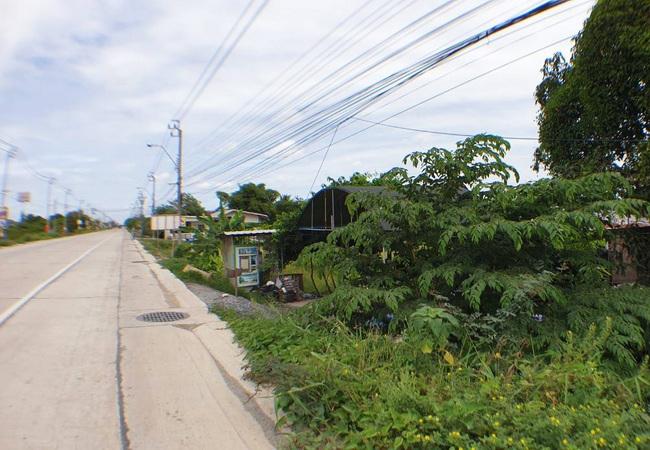 ที่ดิน 40500000 นนทบุรี ไทรน้อย ไทรน้อย