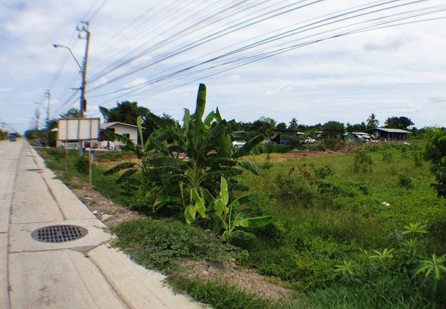 ที่ดิน 40500000 นนทบุรี ไทรน้อย ไทรน้อย
