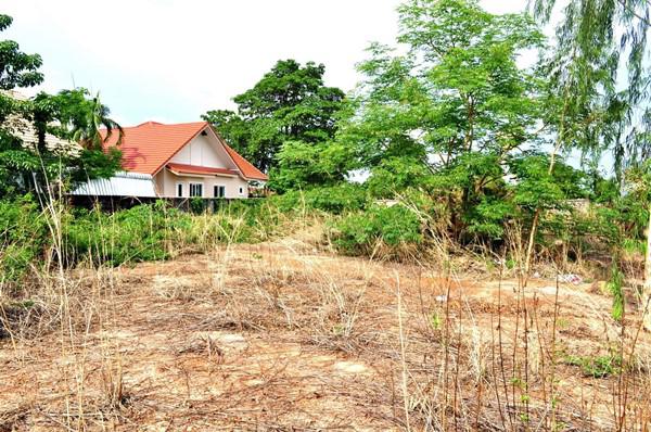 ที่ดิน 1200000 พิษณุโลก เมืองพิษณุโลก สมอแข