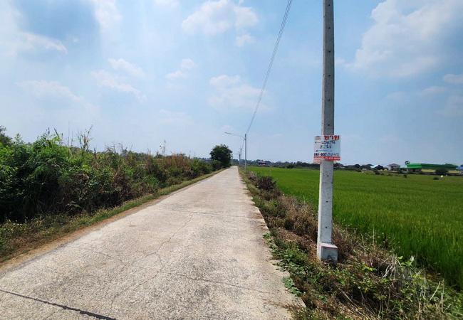 ที่ดิน 390000 พระนครศรีอยุธยา บางไทร บ้านม้า