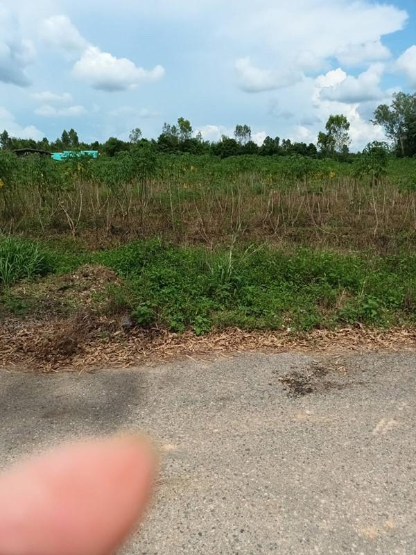ที่ดิน 550000 ฉะเชิงเทรา พนมสารคาม เขาหินซ้อน