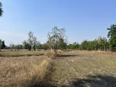 ที่ดิน 350000 สุโขทัย คีรีมาศ บ้านป้อม