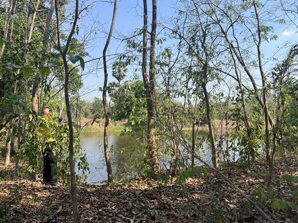 ที่ดิน 350000 สุโขทัย คีรีมาศ บ้านป้อม