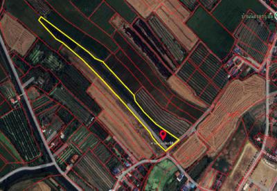 ที่ดิน 9670000 นครปฐม นครชัยศรี บางพระ