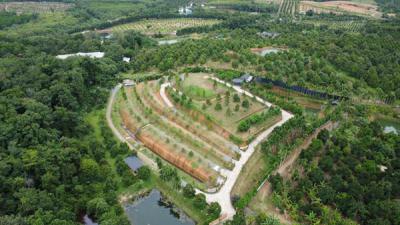 ที่ดิน 24500000 จันทบุรี มะขาม อ่างคีรี