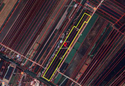 ที่ดิน 77400000 นนทบุรี ไทรน้อย หนองเพรางาย