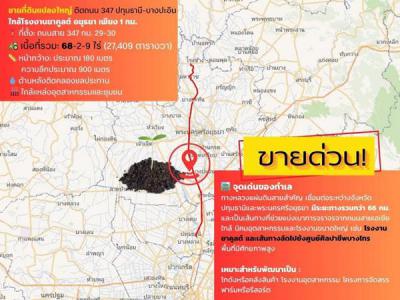 ที่ดิน 2500000 พระนครศรีอยุธยา บางปะอิน บางประแดง