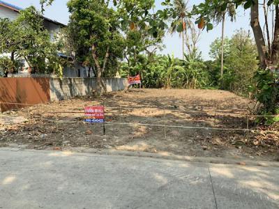 ที่ดิน 2099998 นนทบุรี บางใหญ่ บางเลน