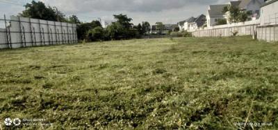 ที่ดิน 300000 สมุทรปราการ บางพลี บางแก้ว