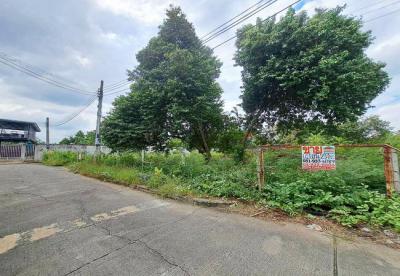 ที่ดิน 7800000 กรุงเทพมหานคร เขตทวีวัฒนา ศาลาธรรมสพน์