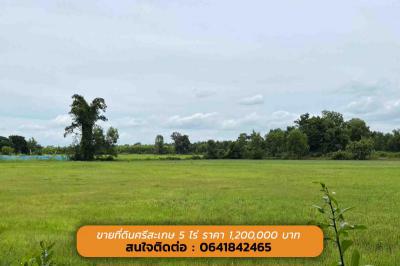 ที่ดิน 1200000 ศรีสะเกษ เมืองศรีสะเกษ หนองแก้ว